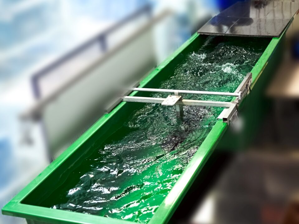 Auf Scooter zugeschnitten