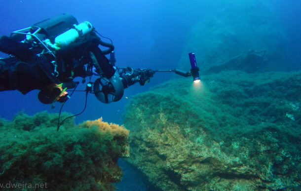 Collapse of the Azure Window